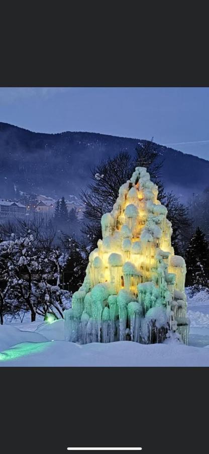 Hotel Rosengarten Tarvisio Dış mekan fotoğraf